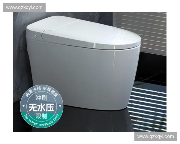 智能马桶深度评测与选购指南全面解析功能、使用体验与性价比 智能马桶深度评测与选购指南全面解析功能、使用体验与性价比